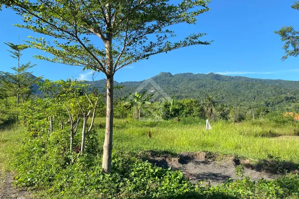 Tanah Kavling Dengan Pemandangan Bukit di Desa Panji