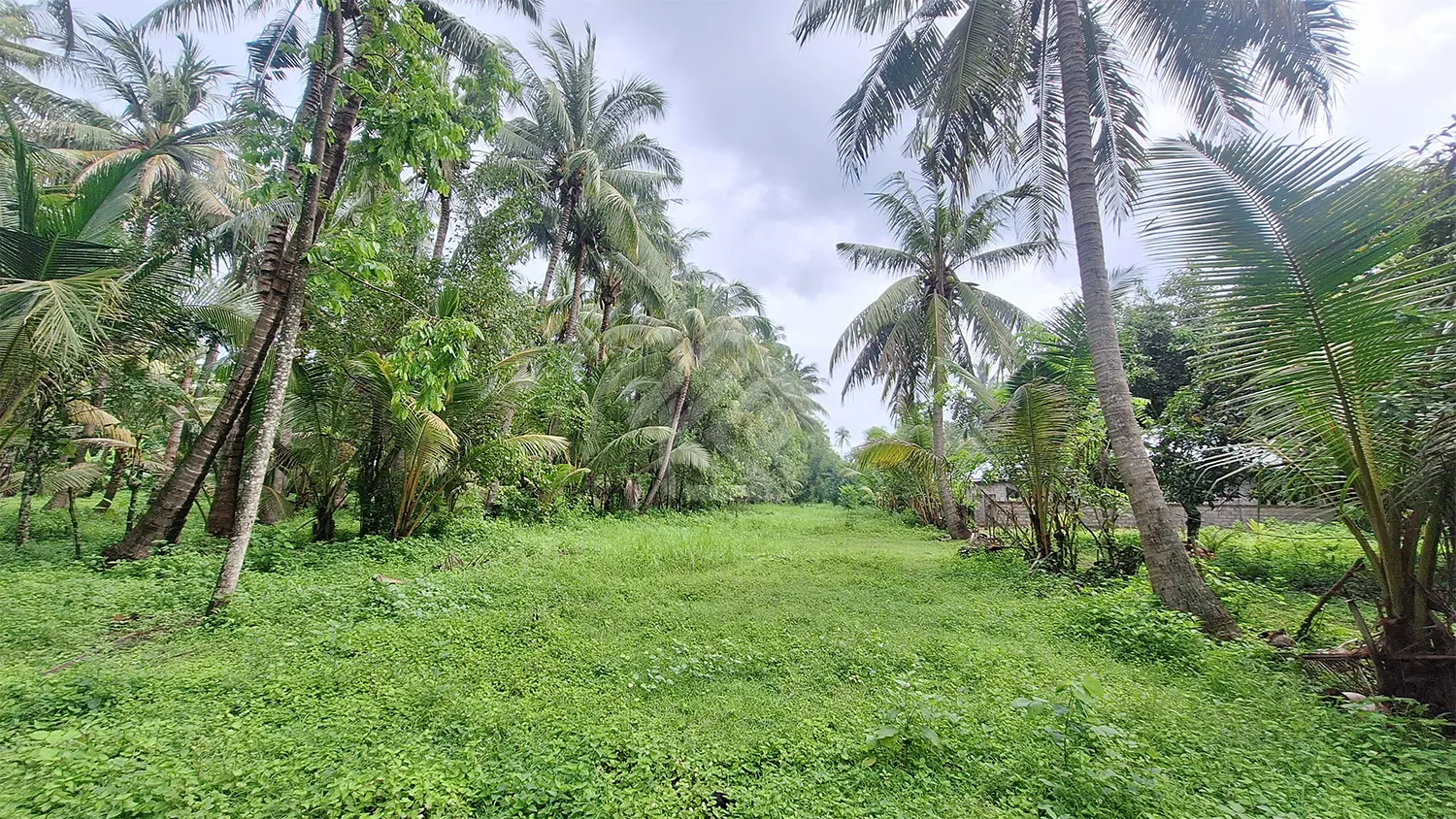 Kavling Dekat Pantai Kubutambahan - 4