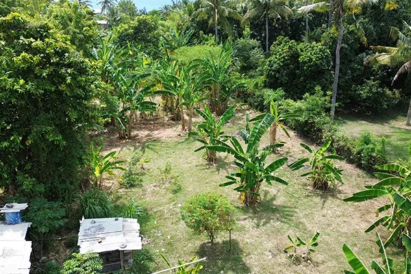 Dijual Murah Tanah Kebun Dekat Pantai di Gerokgak Buleleng - 3