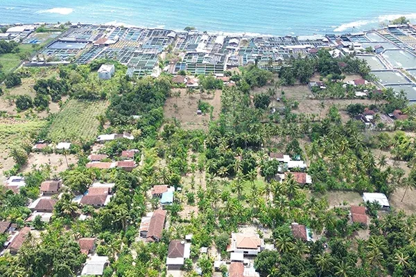 Dijual Murah Tanah Kebun Dekat Pantai di Gerokgak Buleleng - 5