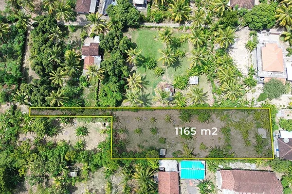 Dijual Murah Tanah Kebun Dekat Pantai di Gerokgak Buleleng