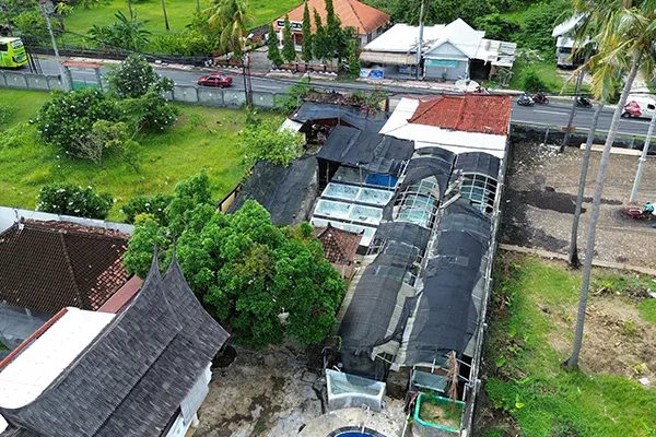 Dijual Property Pinggir Jalan Kaliasem Lovina - 2