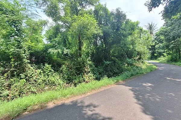 Dijual Tanah Dekat Wisata Air Sanih Kubutambahan Buleleng