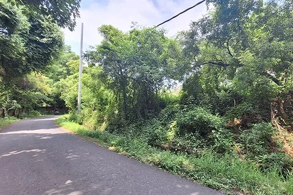 Dijual Tanah Dekat Wisata Air Sanih Kubutambahan Buleleng - 4