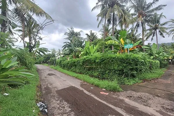Dijual Tanah Pinggir Jalan Desa Temukus Lovina
