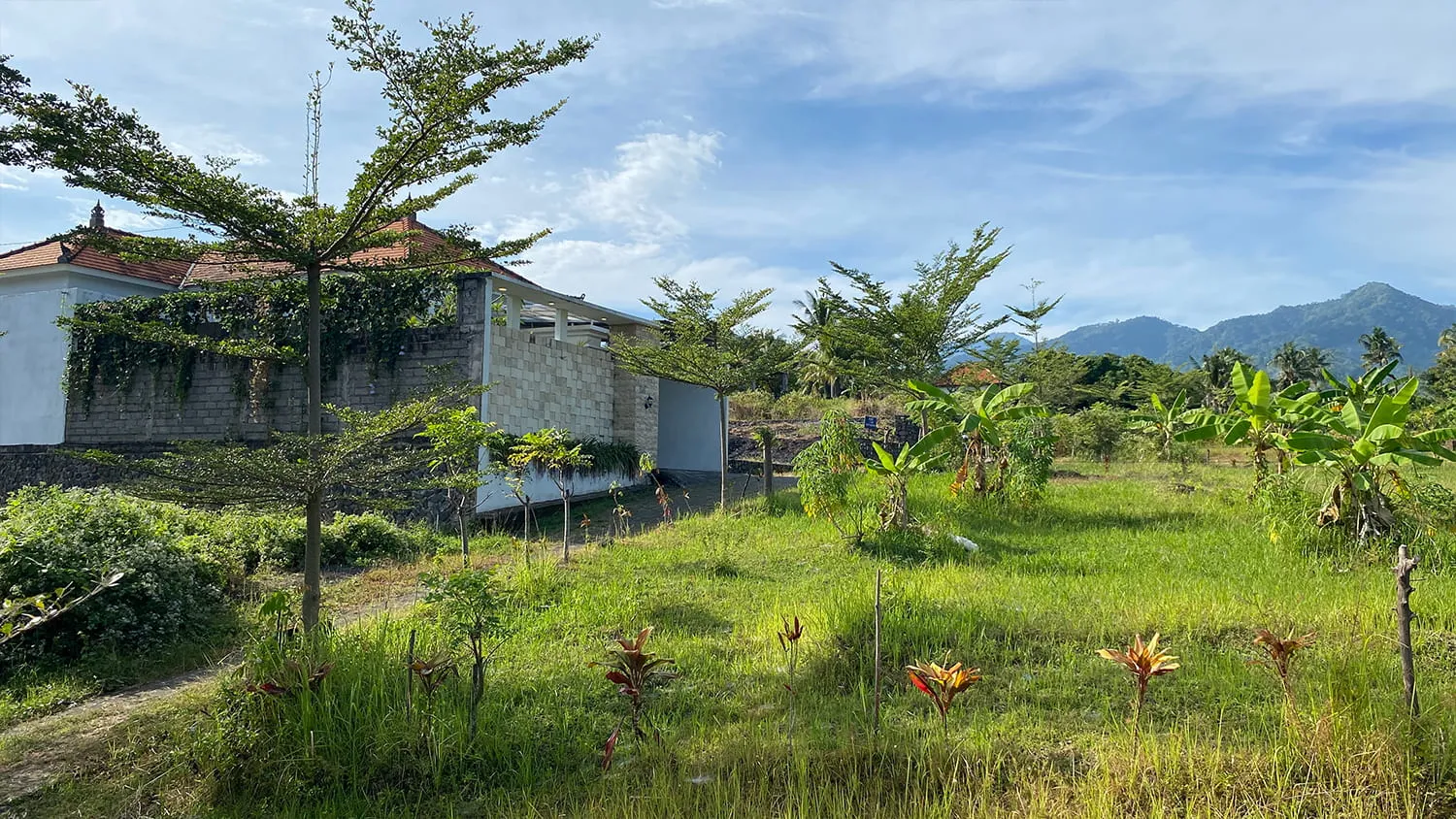 Tanah Kavling Dengan Pemandangan Bukit di Desa Panji - 9