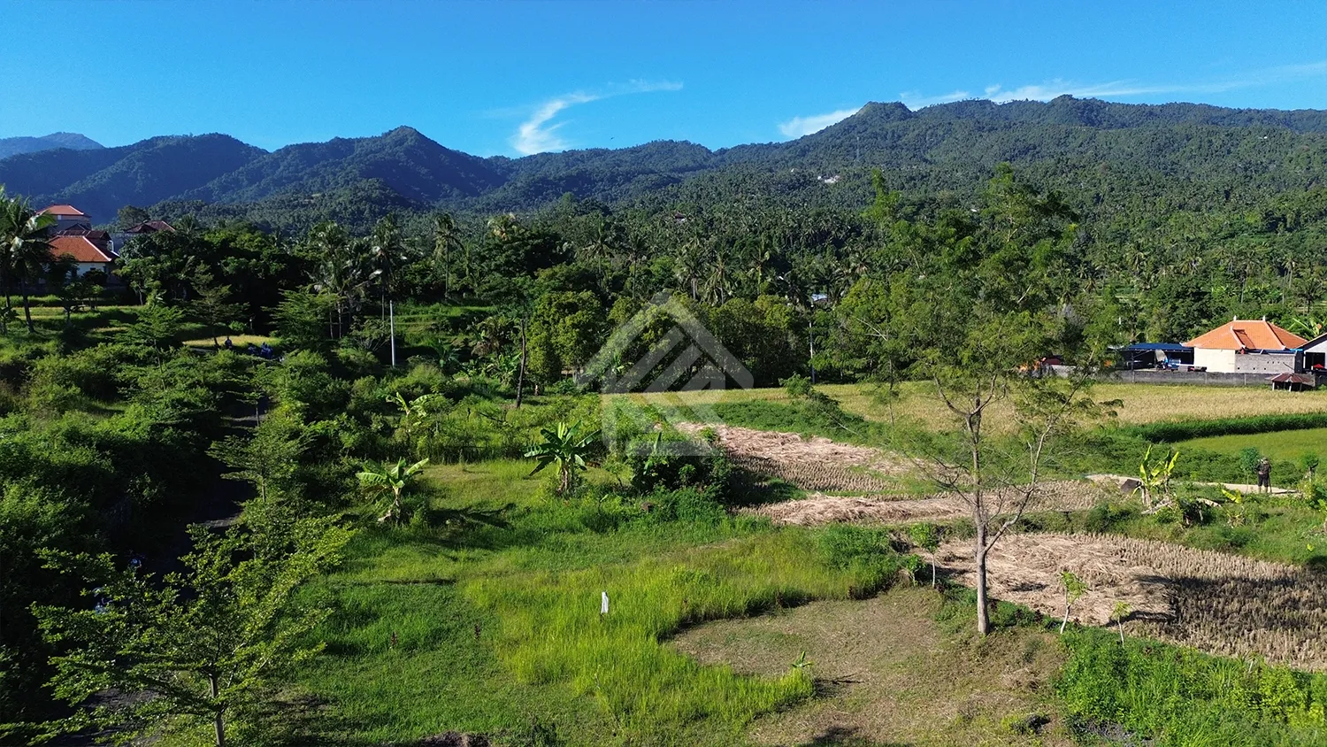 Tanah Kavling Dengan Pemandangan Bukit di Desa Panji - 3