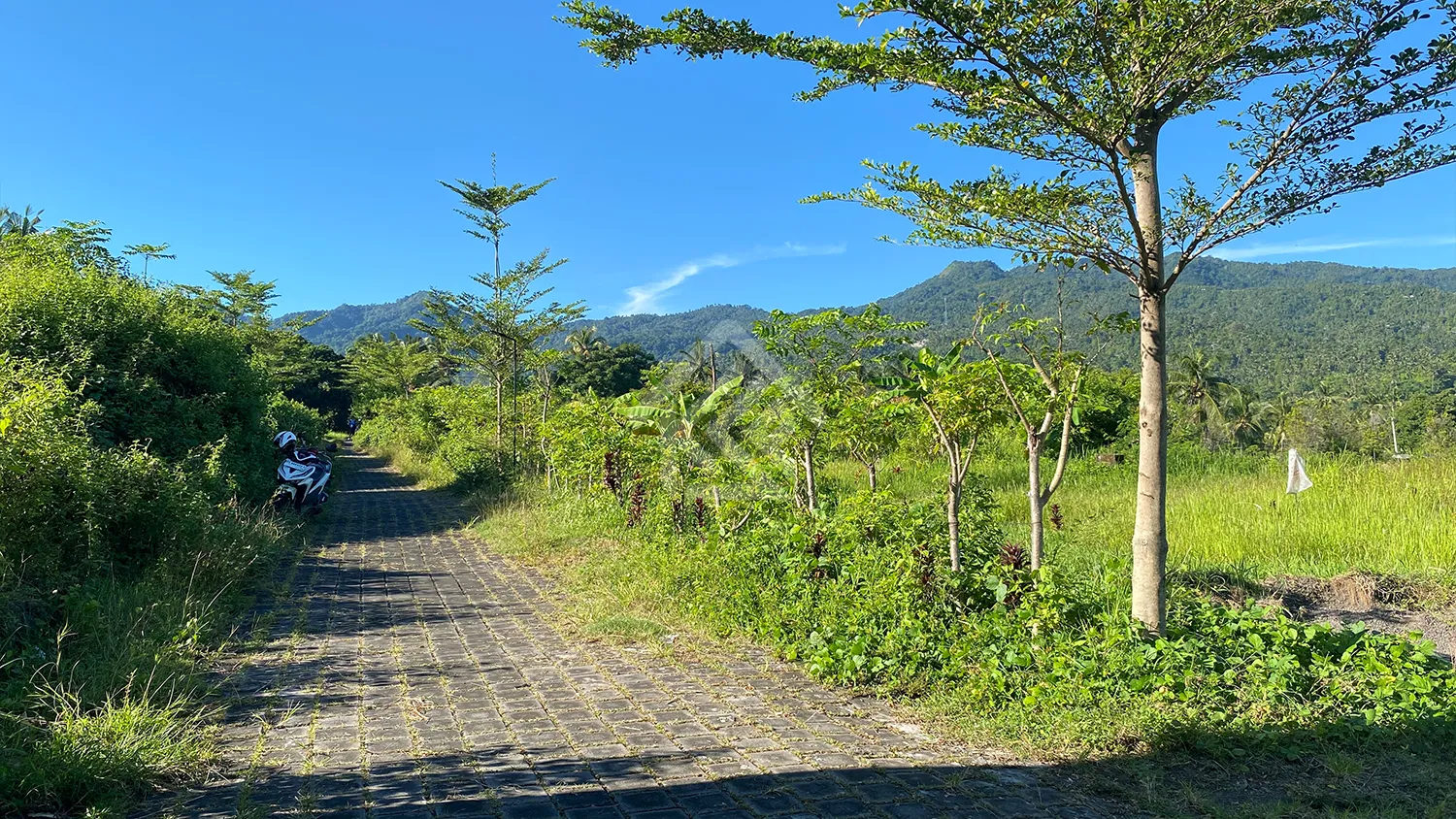 Tanah Kavling Dengan Pemandangan Bukit di Desa Panji - 4