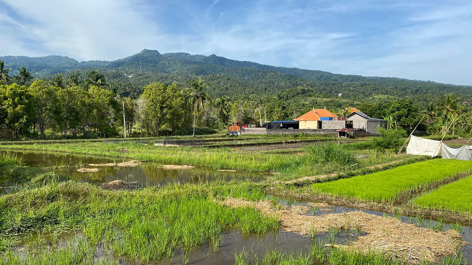 Tanah Kavling Dengan Pemandangan Bukit di Desa Panji - 2
