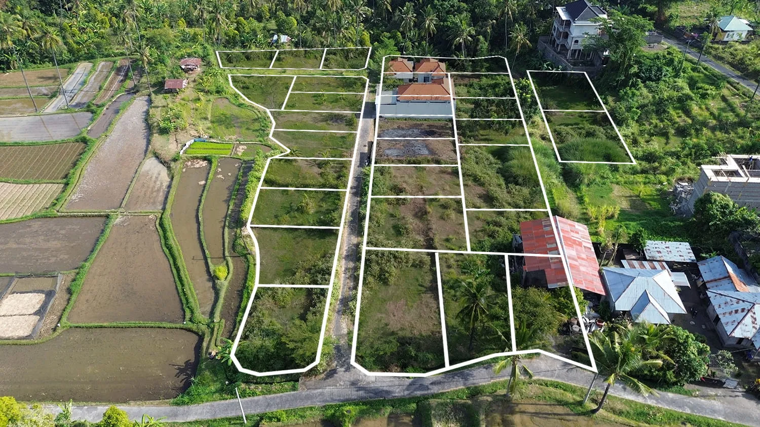 Tanah Kavling Dengan Pemandangan Bukit di Desa Panji - 3