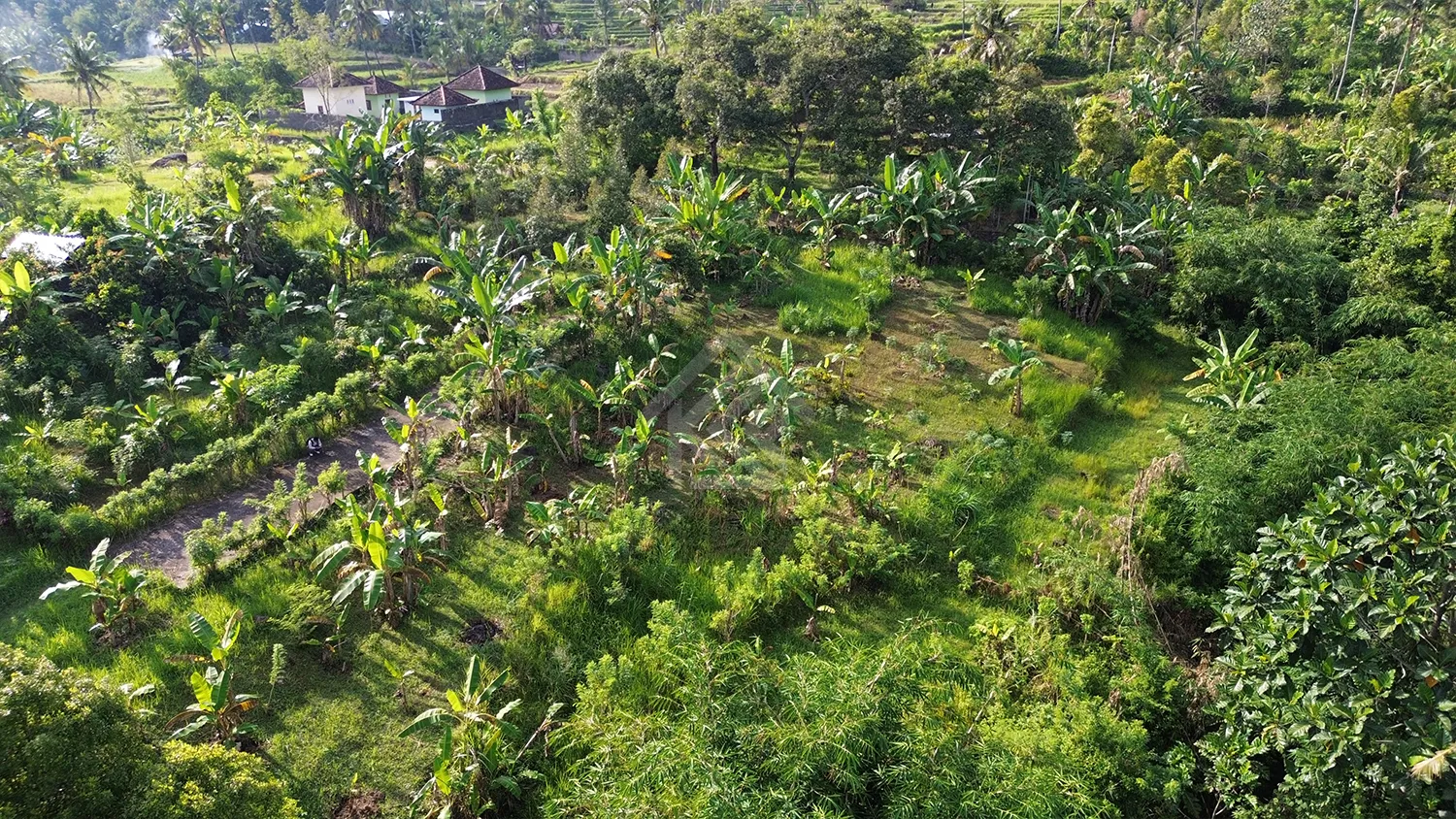 Tanah Kavling Murah di Panji - 3