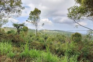 Tanah View Laut dan Perbukitan di Tigawasa