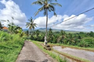 Dijual Tanah Sawah Produktif di Kawasan Villa Desa Panji Buleleng