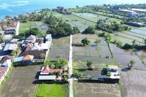 Tanah Dijual Dekat Pantai Dengan Pemandangan Sawah Sebelah Hotel Bali Taman Buleleng