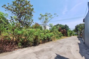 Dijual Tanah Kavling Dekat RSUD Tangguwisia Seririt