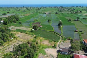 Dijual Tanah Kebun Murah Dekat Pantai Bungkulan