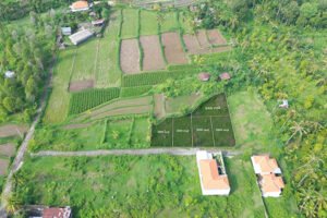 Dijual Tanah Kavling Luasan Kecil Dekat Monumen Desa Panji