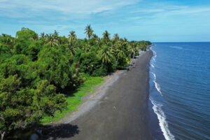 Dijual Tanah Dekat Pantai di Kubutambahan Buleleng