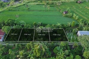 Tanah Kavling Luasan 1 Are di Sambangan