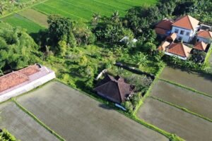 Dijual Tanah Dengan View Sawah di Sangket Sukasada